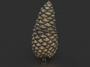pinecone Modelo 3D