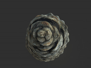 pinecone Model 3D