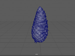 pinecone Model 3D