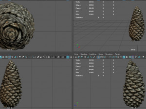 pinecone Model 3D