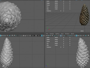 pinecone Model 3D
