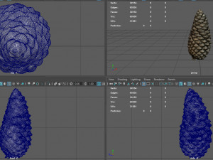 pinecone Model 3D
