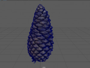 pinecone Model 3D