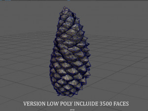 pinecone Model 3D