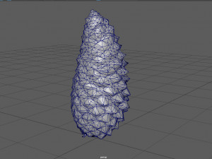 pinecone Model 3D