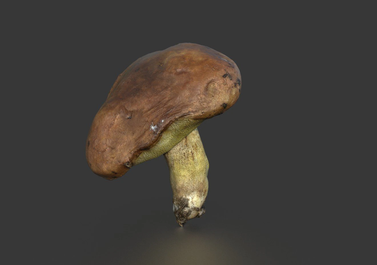 mushroom 5 3D Model .c4d .max .obj .3ds .fbx .stl .blend 