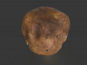 mushroom 5 Model 3D