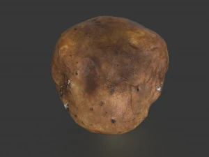mushroom 5 3D Model