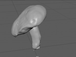 mushroom 5 Model 3D