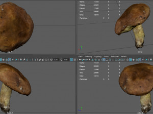 mushroom 5 Model 3D