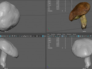 mushroom 5 Model 3D