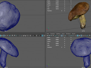 mushroom 5 Model 3D