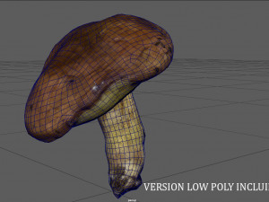 mushroom 5 Model 3D