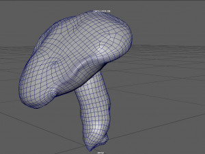 mushroom 5 Model 3D