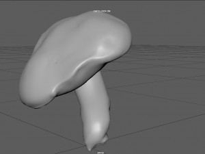 mushroom 5 Model 3D