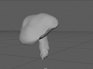 mushroom 5 Model 3D