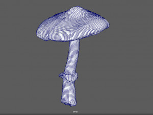 mushroom 3 Model 3D