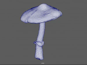 fungo 3 Modello 3D