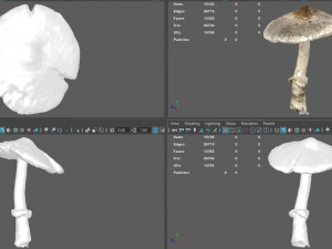 mushroom 3 Model 3D