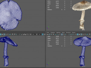mushroom 3 Model 3D