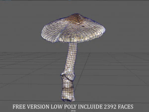 fungo 3 Modello 3D