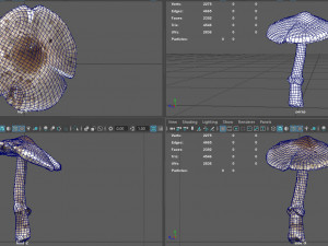 mushroom 3 Model 3D