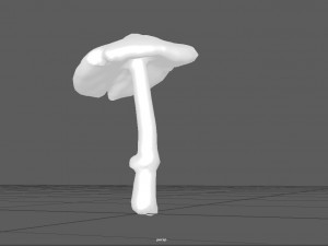 mushroom 3 Model 3D