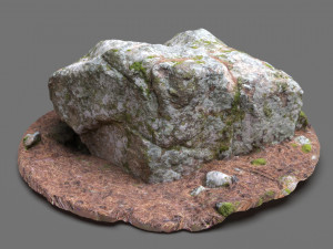 moss rock 3D Model