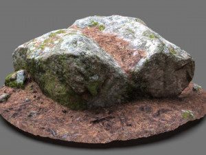 moss rock 3D Model