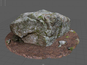 moss rock 3D Model