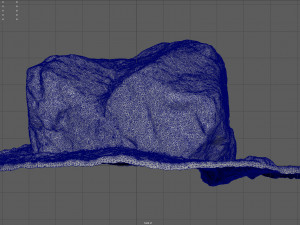 moss rock 3D Model