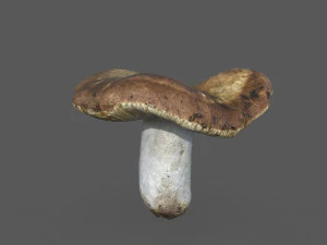 mushroom 1 3D Model
