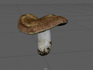 mushroom 1 3D Model