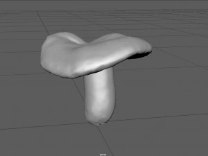 mushroom 1 3D Model