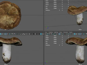mushroom 1 3D Model