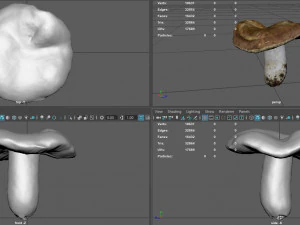mushroom 1 3D Model