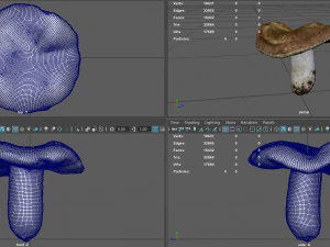 mushroom 1 3D Model
