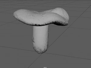 mushroom 1 3D Model