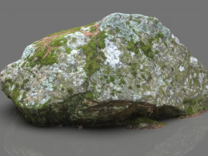 moss rock 2 3D Model
