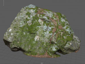 moss rock 2 3D Model