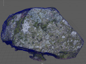 moss rock 2 3D Model