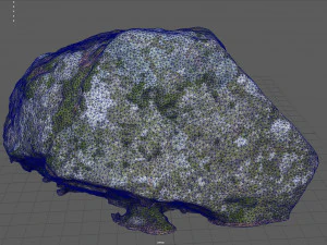 moss rock 2 3D Model