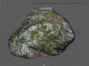 moss rock 2 3D Model