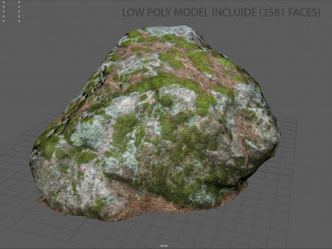 moss rock 2 3D Model