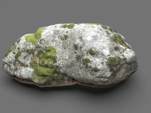 moss rock 3 3D Model