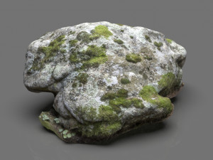 moss rock 3 3D 모델