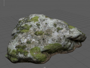 moss rock 3 3D 모델