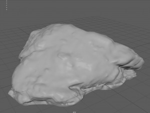 moss rock 3 3D 모델