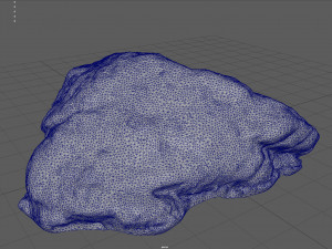 moss rock 3 3D 모델