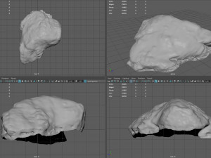 moss rock 3 3D 모델